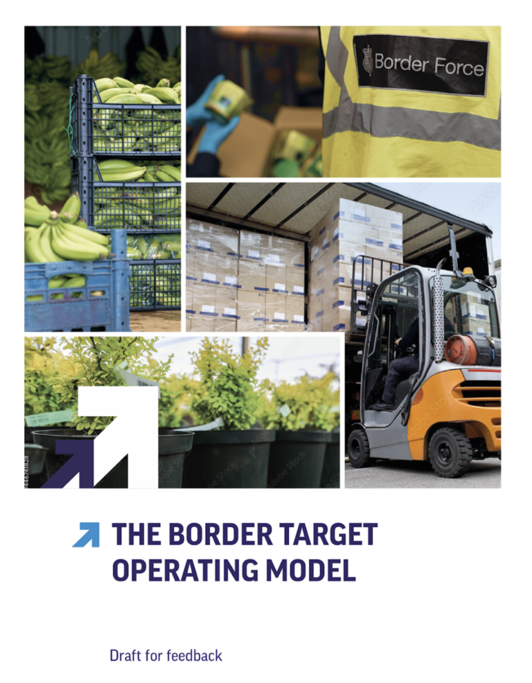 2025 UK Border Strategy Get Ready for Brexit